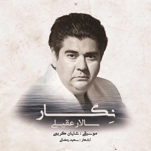 Cover artwork for Leylaye Man by Salar Aghili